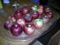 120px-Pommes de Terre.jpg